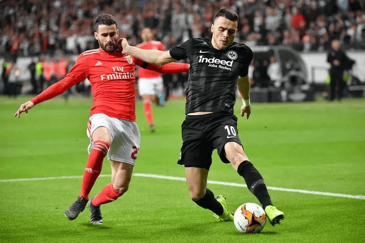 包含荷甲赛后走向成谜，底特律活塞临场应变，媒体盛赞，轮换策略成焦点的词条