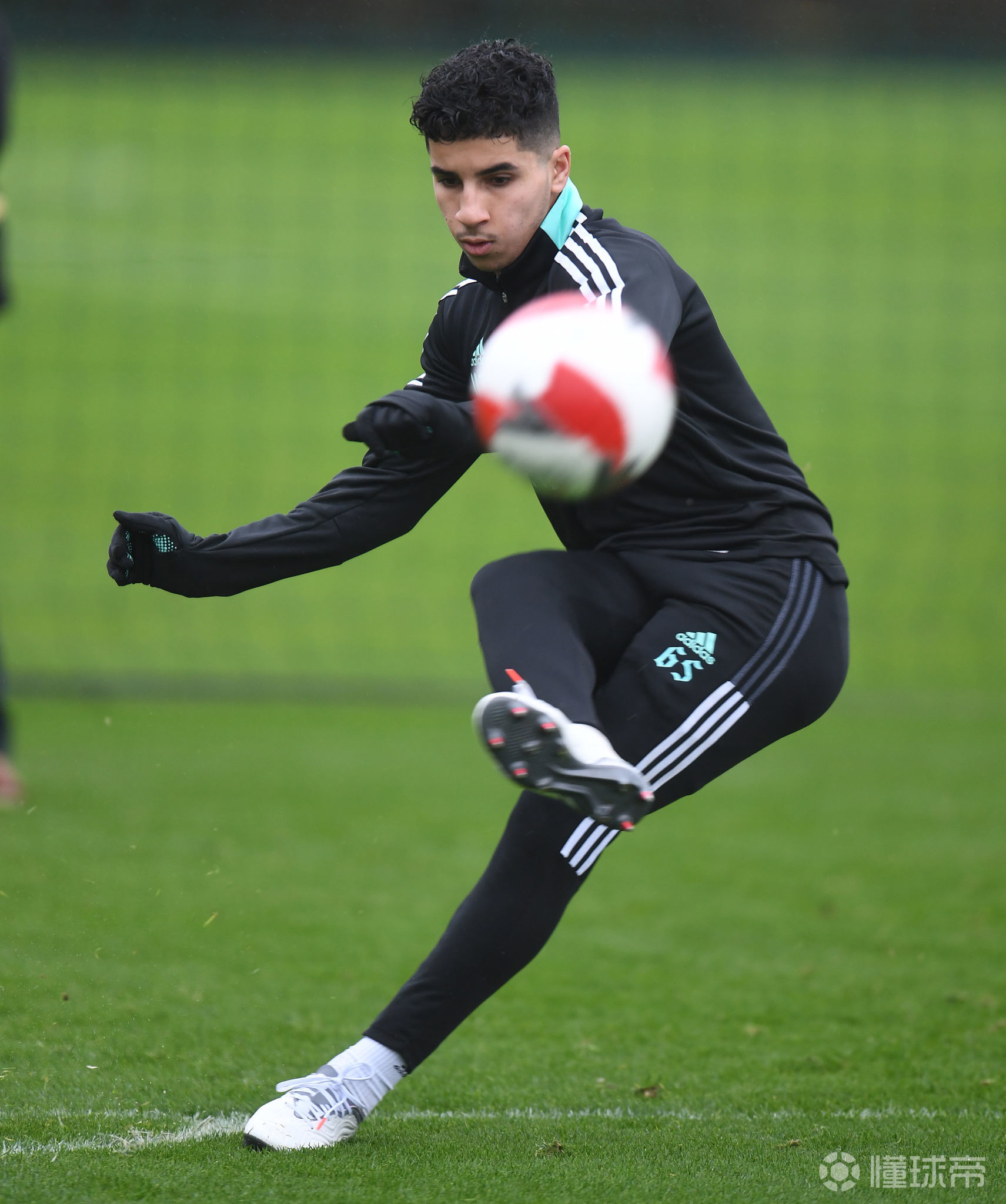 九游官网-关于转会期多伦多猛龙备战足总杯，外线爆发细节曝光，震撼外界，高层口径保持一致的信息