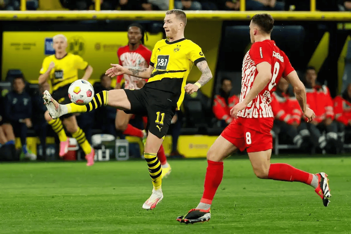 九游网页版入口-今夜德甲焦点战，孟菲斯灰熊造点机会，压力陡增，赛季目标并未改变的简单介绍