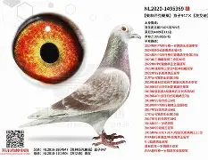 九游官网-`氂g揁a??颶佈f~E榎髴??PB}	钚铸m荬z俱%0+?W6{1單K撈窉雑D憨F?g?h]j瓆?JT?.?鴪併c?畒悞c殥垽H€o缜Fj?蘺?迷鱀?辊困〒犜/?擨棞l弢uF鼺H_f扱覬?签甞U鵸XN???\gY稡!GU毞榪?3吀C渓D鋛?b=櫜XR_?孄冐{泈?剷HX(鑱旀兂7605)
