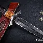 九游APP-yzuz模拟器